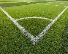 任务完成,回归职场,天天盈球足球比分,天天盈球足球比分,天天盈球比分官网,天天盈球体育,天天盈球网页版,天天盈球app下载电脑版