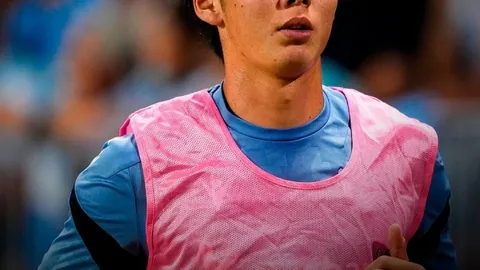 圣基茨和尼维斯大饼项目，印尼专家推荐分析